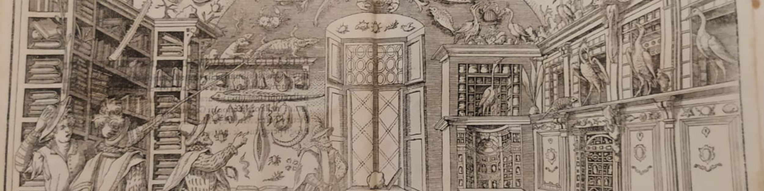 Biblioteca Teresiana