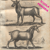 Animali fantastici... e dove trovarli