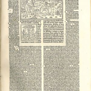 Vulgata. Esempio di disposizione tipica del testo medievale