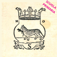 C'è un gatto in biblioteca
