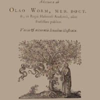 Ole Worm, Museum Wormianum, 1655.